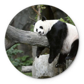Коврик круглый с принтом Большая уставшая панда в Тюмени, резина и полиэстер | круглая форма, изображение наносится на всю лицевую часть | бамбук | животное | медведь