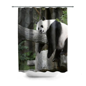 Штора 3D для ванной с принтом Большая уставшая панда в Тюмени, 100% полиэстер | плотность материала — 100 г/м2. Стандартный размер — 146 см х 180 см. По верхнему краю — пластиковые люверсы для креплений. В комплекте 10 пластиковых колец | бамбук | животное | медведь
