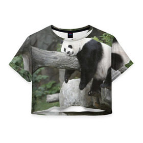 Женская футболка 3D укороченная с принтом Большая уставшая панда в Тюмени, 100% полиэстер | круглая горловина, длина футболки до линии талии, рукава с отворотами | бамбук | животное | медведь