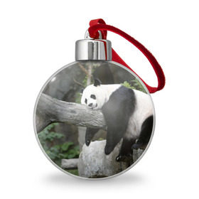 Ёлочный шар с принтом Большая уставшая панда в Тюмени, Пластик | Диаметр: 77 мм | бамбук | животное | медведь