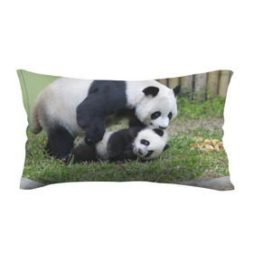 Подушка 3D антистресс с принтом Мамочка и сыночек панды в Тюмени, наволочка — 100% полиэстер, наполнитель — вспененный полистирол | состоит из подушки и наволочки на молнии | бамбук | животное | медведь