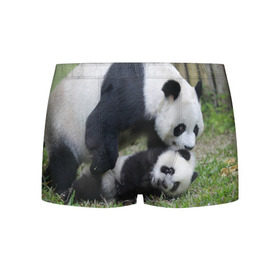 Мужские трусы 3D с принтом Мамочка и сыночек панды в Тюмени, 50% хлопок, 50% полиэстер | классическая посадка, на поясе мягкая тканевая резинка | Тематика изображения на принте: бамбук | животное | медведь