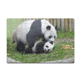 Пазл магнитный 126 элементов с принтом Мамочка и сыночек панды в Тюмени, полимерный материал с магнитным слоем | 126 деталей, размер изделия —  180*270 мм | бамбук | животное | медведь