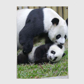 Постер с принтом Мамочка и сыночек панды в Тюмени, 100% бумага
 | бумага, плотность 150 мг. Матовая, но за счет высокого коэффициента гладкости имеет небольшой блеск и дает на свету блики, но в отличии от глянцевой бумаги не покрыта лаком | бамбук | животное | медведь