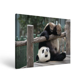 Холст прямоугольный с принтом Паркур панда в Тюмени, 100% ПВХ |  | бамбук | животное | медведь