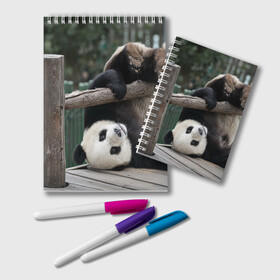 Блокнот с принтом Паркур панда в Тюмени, 100% бумага | 48 листов, плотность листов — 60 г/м2, плотность картонной обложки — 250 г/м2. Листы скреплены удобной пружинной спиралью. Цвет линий — светло-серый
 | бамбук | животное | медведь