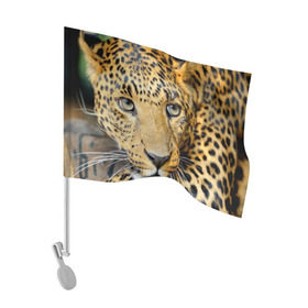 Флаг для автомобиля с принтом Леопард в Тюмени, 100% полиэстер | Размер: 30*21 см | властелин | глаз | грация | животные | зверь | кот | кошачий | кошки | крупный | леопард | лес | млекопитающее | природа | пятна | рыжий | усатый | усы | фауна | флора | хищник | хозяин | царь джунгли
