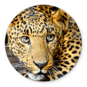 Коврик круглый с принтом Леопард в Тюмени, резина и полиэстер | круглая форма, изображение наносится на всю лицевую часть | Тематика изображения на принте: властелин | глаз | грация | животные | зверь | кот | кошачий | кошки | крупный | леопард | лес | млекопитающее | природа | пятна | рыжий | усатый | усы | фауна | флора | хищник | хозяин | царь джунгли