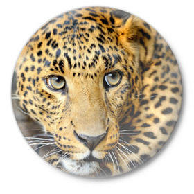 Значок с принтом Леопард в Тюмени,  металл | круглая форма, металлическая застежка в виде булавки | Тематика изображения на принте: властелин | глаз | грация | животные | зверь | кот | кошачий | кошки | крупный | леопард | лес | млекопитающее | природа | пятна | рыжий | усатый | усы | фауна | флора | хищник | хозяин | царь джунгли