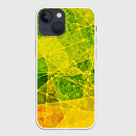 Чехол для iPhone 13 mini с принтом Particles в Тюмени,  |  | желтый | зеленый | потертый | треугольники | яркий