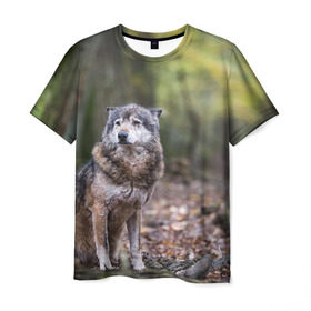 Мужская футболка 3D с принтом Серый волк в Тюмени, 100% полиэфир | прямой крой, круглый вырез горловины, длина до линии бедер | Тематика изображения на принте: бирюк | волк | волчара | волчица | волчок | глаза | животное | животные | зверь | зеленые | койот | лес | млекопитающее | природа | санитар леса | серый | уши | фауна | хищник | черный | шакал