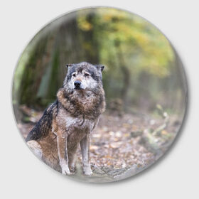 Значок с принтом Серый волк в Тюмени,  металл | круглая форма, металлическая застежка в виде булавки | бирюк | волк | волчара | волчица | волчок | глаза | животное | животные | зверь | зеленые | койот | лес | млекопитающее | природа | санитар леса | серый | уши | фауна | хищник | черный | шакал
