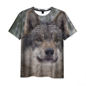 Мужская футболка 3D с принтом Серый волк в Тюмени, 100% полиэфир | прямой крой, круглый вырез горловины, длина до линии бедер | бирюк | волк | волчара | волчица | волчок | глаза | животное | животные | зверь | зеленые | койот | лес | млекопитающее | природа | санитар леса | серый | уши | фауна | хищник | черный | шакал