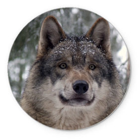 Коврик круглый с принтом Серый волк в Тюмени, резина и полиэстер | круглая форма, изображение наносится на всю лицевую часть | бирюк | волк | волчара | волчица | волчок | глаза | животное | животные | зверь | зеленые | койот | лес | млекопитающее | природа | санитар леса | серый | уши | фауна | хищник | черный | шакал