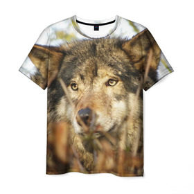 Мужская футболка 3D с принтом Волк в Тюмени, 100% полиэфир | прямой крой, круглый вырез горловины, длина до линии бедер | бирюк | волк | волчара | волчица | волчок | глаза | животное | животные | зверь | зеленые | койот | лес | млекопитающее | природа | санитар леса | серый | уши | фауна | хищник | черный | шакал