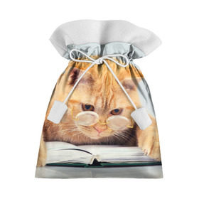 Подарочный 3D мешок с принтом Кот ученый в Тюмени, 100% полиэстер | Размер: 29*39 см | грустный | добрый | животное | киса | киска | кот | котенок | котэ | кошка | красивый | лапа | лапка | ласковый | милый | очки | прикольный | рыжий | смешной | унылый | усатый | шерсть