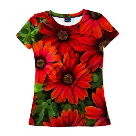 Женская футболка 3D с принтом Spring Flowers в Тюмени, 100% полиэфир ( синтетическое хлопкоподобное полотно) | прямой крой, круглый вырез горловины, длина до линии бедер | 3d | flower | весна | другие | красивые цветы | красные | лето | поле | полевой цветок | прикольные | природа | текстуры | цветочки | цветы