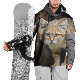 Накидка на куртку 3D с принтом Песчаный кот в Тюмени, 100% полиэстер |  | Тематика изображения на принте: грустный | добрый | животное | киса | киска кися | кот | котенок | котэ | кошка | красивый | лапа | лапка | ласковый | милый | моська | мурлыка | прикольный | смешной | унылый | усатый | шерсть