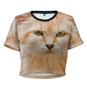 Женская футболка 3D укороченная с принтом Рыжий кот в Тюмени, 100% полиэстер | круглая горловина, длина футболки до линии талии, рукава с отворотами | грустный | добрый | животное | киса | киска кися | кот | котенок | котэ | кошка | красивый | лапа | лапка | ласковый | милый | моська | мурлыка | прикольный | смешной | унылый | усатый | шерсть