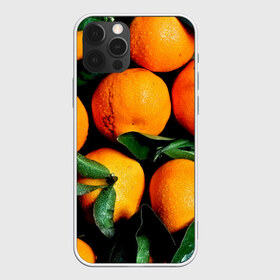 Чехол для iPhone 12 Pro Max с принтом Мандаринчики в Тюмени, Силикон |  | Тематика изображения на принте: зелень | оранжевый | цитрус | яркий
