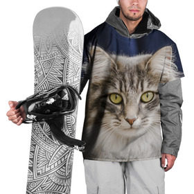 Накидка на куртку 3D с принтом Серый кот в Тюмени, 100% полиэстер |  | грустный | добрый | животное | киса | киска кися | кот | котенок | котэ | кошка | красивый | лапа | лапка | ласковый | милый | моська | мурлыка | прикольный | смешной | унылый | усатый | шерсть