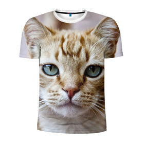 Мужская футболка 3D спортивная с принтом Рыжий кот, зеленые глаза в Тюмени, 100% полиэстер с улучшенными характеристиками | приталенный силуэт, круглая горловина, широкие плечи, сужается к линии бедра | Тематика изображения на принте: грустный | добрый | животное | киса | киска кися | кот | котенок | котэ | кошка | красивый | лапа | лапка | ласковый | милый | моська | мурлыка | прикольный | смешной | унылый | усатый | шерсть