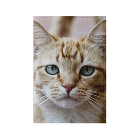 Обложка для паспорта матовая кожа с принтом Рыжий кот, зеленые глаза в Тюмени, натуральная матовая кожа | размер 19,3 х 13,7 см; прозрачные пластиковые крепления | Тематика изображения на принте: грустный | добрый | животное | киса | киска кися | кот | котенок | котэ | кошка | красивый | лапа | лапка | ласковый | милый | моська | мурлыка | прикольный | смешной | унылый | усатый | шерсть