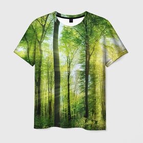 Мужская футболка 3D с принтом Солнечный лес в Тюмени, 100% полиэфир | прямой крой, круглый вырез горловины, длина до линии бедер | деревья | зелень | лес | лето | лучи солнца | солнце | тайга