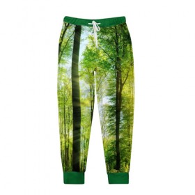 Мужские брюки 3D с принтом Солнечный лес в Тюмени, 100% полиэстер | манжеты по низу, эластичный пояс регулируется шнурком, по бокам два кармана без застежек, внутренняя часть кармана из мелкой сетки | деревья | зелень | лес | лето | лучи солнца | солнце | тайга