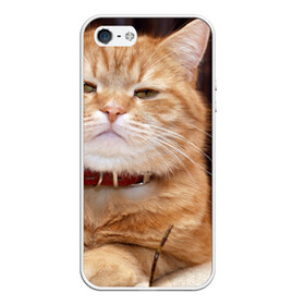Чехол для iPhone 5/5S матовый с принтом Рыжий кот в Тюмени, Силикон | Область печати: задняя сторона чехла, без боковых панелей | грустный | добрый | животное | киса | киска кися | кот | котенок | котэ | кошка | красивый | лапа | лапка | ласковый | милый | моська | мурлыка | прикольный | смешной | унылый | усатый | шерсть