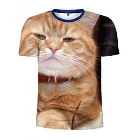 Мужская футболка 3D спортивная с принтом Рыжий кот в Тюмени, 100% полиэстер с улучшенными характеристиками | приталенный силуэт, круглая горловина, широкие плечи, сужается к линии бедра | грустный | добрый | животное | киса | киска кися | кот | котенок | котэ | кошка | красивый | лапа | лапка | ласковый | милый | моська | мурлыка | прикольный | смешной | унылый | усатый | шерсть