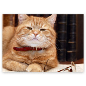Поздравительная открытка с принтом Рыжий кот в Тюмени, 100% бумага | плотность бумаги 280 г/м2, матовая, на обратной стороне линовка и место для марки
 | Тематика изображения на принте: грустный | добрый | животное | киса | киска кися | кот | котенок | котэ | кошка | красивый | лапа | лапка | ласковый | милый | моська | мурлыка | прикольный | смешной | унылый | усатый | шерсть