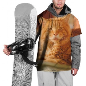 Накидка на куртку 3D с принтом Рыжий кот в Тюмени, 100% полиэстер |  | Тематика изображения на принте: грустный | добрый | животное | киса | киска кися | кот | котенок | котэ | кошка | красивый | лапа | лапка | ласковый | милый | моська | мурлыка | прикольный | смешной | унылый | усатый | шерсть