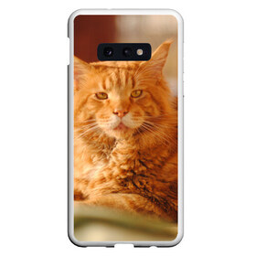 Чехол для Samsung S10E с принтом Рыжий кот в Тюмени, Силикон | Область печати: задняя сторона чехла, без боковых панелей | грустный | добрый | животное | киса | киска кися | кот | котенок | котэ | кошка | красивый | лапа | лапка | ласковый | милый | моська | мурлыка | прикольный | смешной | унылый | усатый | шерсть