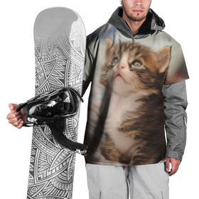 Накидка на куртку 3D с принтом Котенок в Тюмени, 100% полиэстер |  | грустный | добрый | животное | киса | киска кися | кот | котенок | котэ | кошка | красивый | лапа | лапка | ласковый | милый | моська | мурлыка | прикольный | смешной | унылый | усатый | шерсть