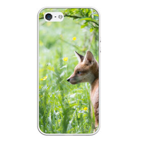Чехол для iPhone 5/5S матовый с принтом Лисенок в Тюмени, Силикон | Область печати: задняя сторона чехла, без боковых панелей | fox | животное | зверь | красивая | лес | лис | лиса | лисенок | лисица | лисичка | природа | рыжая | рыжий цвет | хвост | хитрая | хищник