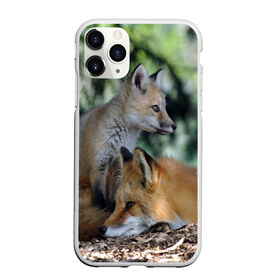 Чехол для iPhone 11 Pro матовый с принтом Лиса и лесенок в Тюмени, Силикон |  | Тематика изображения на принте: fox | животное | зверь | красивая | лес | лис | лиса | лисенок | лисица | лисичка | мех | патрикеевна | песец | плутовка | прикольная | природа | рыжая | рыжий цвет | сказка | хвост | хитрая | хищник