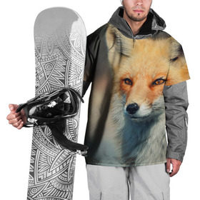 Накидка на куртку 3D с принтом Лисица в Тюмени, 100% полиэстер |  | fox | животное | зверь | красивая | лес | лис | лиса | лисенок | лисица | лисичка | мех | патрикеевна | песец | плутовка | прикольная | природа | рыжая | рыжий цвет | сказка | хвост | хитрая | хищник
