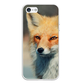 Чехол для iPhone 5/5S матовый с принтом Лисица в Тюмени, Силикон | Область печати: задняя сторона чехла, без боковых панелей | fox | животное | зверь | красивая | лес | лис | лиса | лисенок | лисица | лисичка | мех | патрикеевна | песец | плутовка | прикольная | природа | рыжая | рыжий цвет | сказка | хвост | хитрая | хищник
