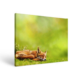 Холст прямоугольный с принтом Лисичка спит в Тюмени, 100% ПВХ |  | fox | животное | зверь | красивая | лес | лис | лиса | лисенок | лисица | лисичка | мех | патрикеевна | песец | плутовка | прикольная | природа | рыжая | рыжий цвет | сказка | хвост | хитрая | хищник