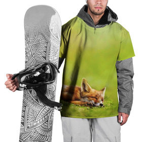 Накидка на куртку 3D с принтом Лисичка спит в Тюмени, 100% полиэстер |  | fox | животное | зверь | красивая | лес | лис | лиса | лисенок | лисица | лисичка | мех | патрикеевна | песец | плутовка | прикольная | природа | рыжая | рыжий цвет | сказка | хвост | хитрая | хищник