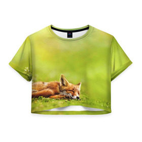 Женская футболка 3D укороченная с принтом Лисичка спит в Тюмени, 100% полиэстер | круглая горловина, длина футболки до линии талии, рукава с отворотами | fox | животное | зверь | красивая | лес | лис | лиса | лисенок | лисица | лисичка | мех | патрикеевна | песец | плутовка | прикольная | природа | рыжая | рыжий цвет | сказка | хвост | хитрая | хищник