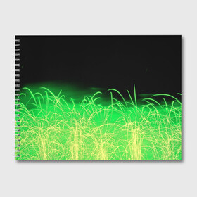 Альбом для рисования с принтом Зеленые искры в Тюмени, 100% бумага
 | матовая бумага, плотность 200 мг. | Тематика изображения на принте: 3d | абстракция | брызги | зеленый | искры | линии | полосы | прикольные | салют | свет | узоры | яркие
