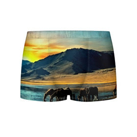 Мужские трусы 3D с принтом Лошади в Тюмени, 50% хлопок, 50% полиэстер | классическая посадка, на поясе мягкая тканевая резинка | 3d | берег | вода | горы | животное | закат | лошади | небо | прикольные | природа | река | солнце | яркие