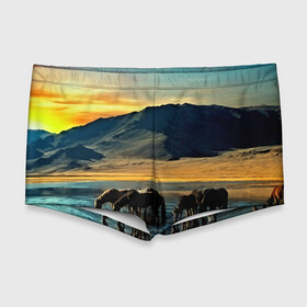 Мужские купальные плавки 3D с принтом Лошади в Тюмени, Полиэстер 85%, Спандекс 15% |  | 3d | берег | вода | горы | животное | закат | лошади | небо | прикольные | природа | река | солнце | яркие