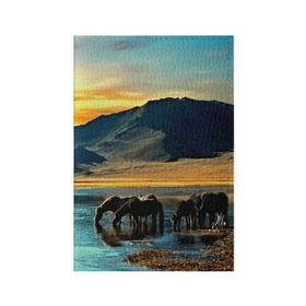 Обложка для паспорта матовая кожа с принтом Лошади в Тюмени, натуральная матовая кожа | размер 19,3 х 13,7 см; прозрачные пластиковые крепления | Тематика изображения на принте: 3d | берег | вода | горы | животное | закат | лошади | небо | прикольные | природа | река | солнце | яркие