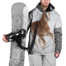 Накидка на куртку 3D с принтом Жеребенок в Тюмени, 100% полиэстер |  | вожжи | голоп | грация | езда | есаул | жеребец | животное | кобыла | кобылица | конь | копыта | копыто | лошадь | пегас | пони | рысак | сбруя | скакун | скачет | скачка | стойло | троя