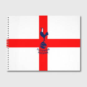 Альбом для рисования с принтом Tottenham в Тюмени, 100% бумага
 | матовая бумага, плотность 200 мг. | 3d | english | fc | football | new | tottenham | tottenham hotspur | англия | британия | логотип | лондон | новые | популярные | прикольные | тоттенхэм | тоттенхэм хотспур | фк | флаг | футбол | футбольный клуб