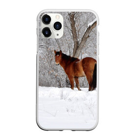 Чехол для iPhone 11 Pro матовый с принтом Лошадка в зимнем лесу в Тюмени, Силикон |  | Тематика изображения на принте: вожжи | голоп | грация | езда | есаул | жеребец | животное | кобыла | кобылица | конь | копыта | копыто | лошадь | пегас | пони | рысак | сбруя | скакун | скачет | скачка | стойло | троя
