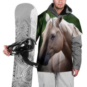 Накидка на куртку 3D с принтом Лошадь в Тюмени, 100% полиэстер |  | Тематика изображения на принте: вожжи | голоп | грация | езда | есаул | жеребец | животное | кобыла | кобылица | конь | копыта | копыто | лошадь | пегас | пони | рысак | сбруя | скакун | скачет | скачка | стойло | троя